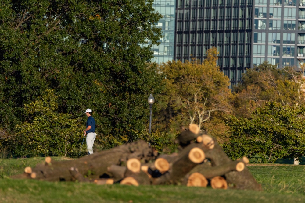 The National Park Service confirmed in a filing they had marked over 500 trees for removal as the Trump administration mulls a renovation for the golf course (Getty)