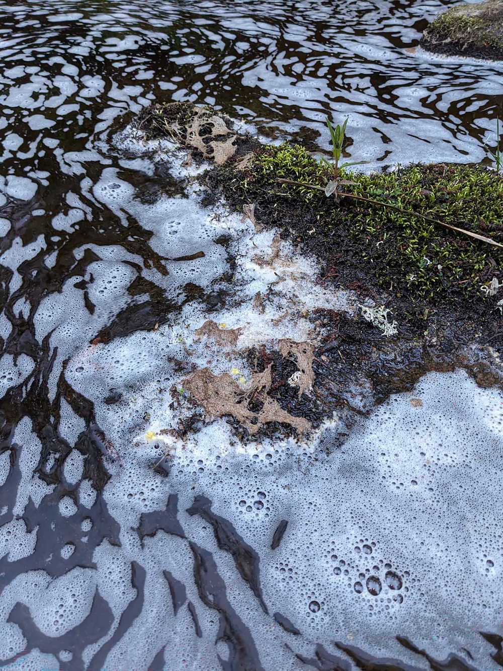 A chemical entered the water at Knockando burn (Duncan Ferguson/Spey Fishery Board/PA) (PA Media)
