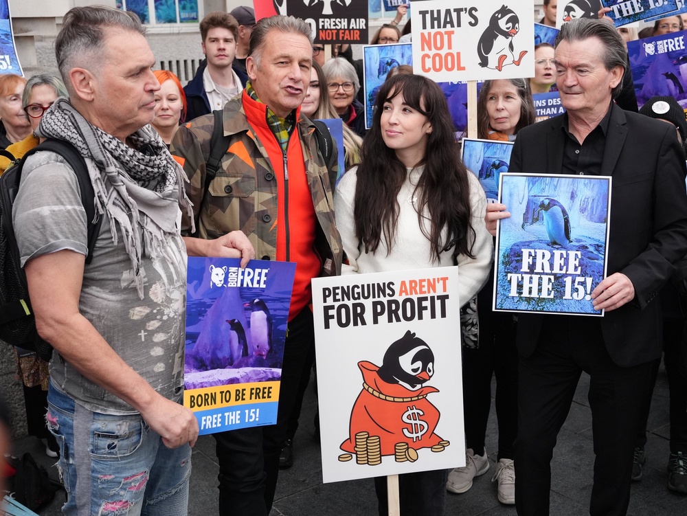 Campaigners have been urging better conditions for the penguins (Jonathan Brady/PA) (PA Archive)