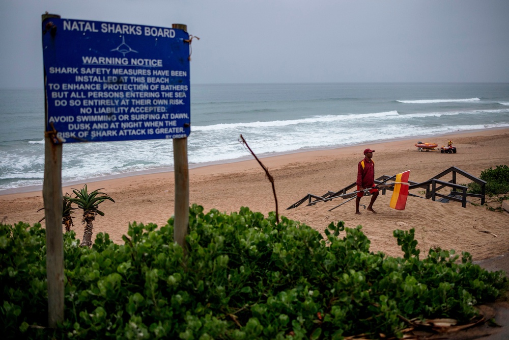 Many beaches in South Africa warn visitors about sharks (AFP/Getty)