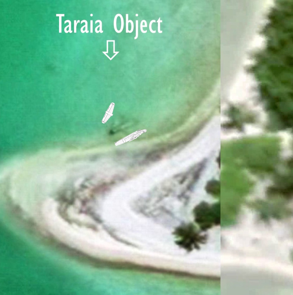 The suspected plane turned out to be washed-up trees (Purdue Research Foundation)