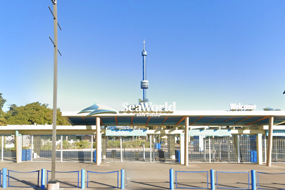 SeaWorld San Diego says that it is closely monitoring the health of the other beluga whales that have been rehomed at the park (Google Street View)