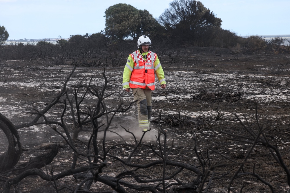 Wildfires sprung up all across the UK during the summer (Humphrey Nemar/PA) (PA Wire)