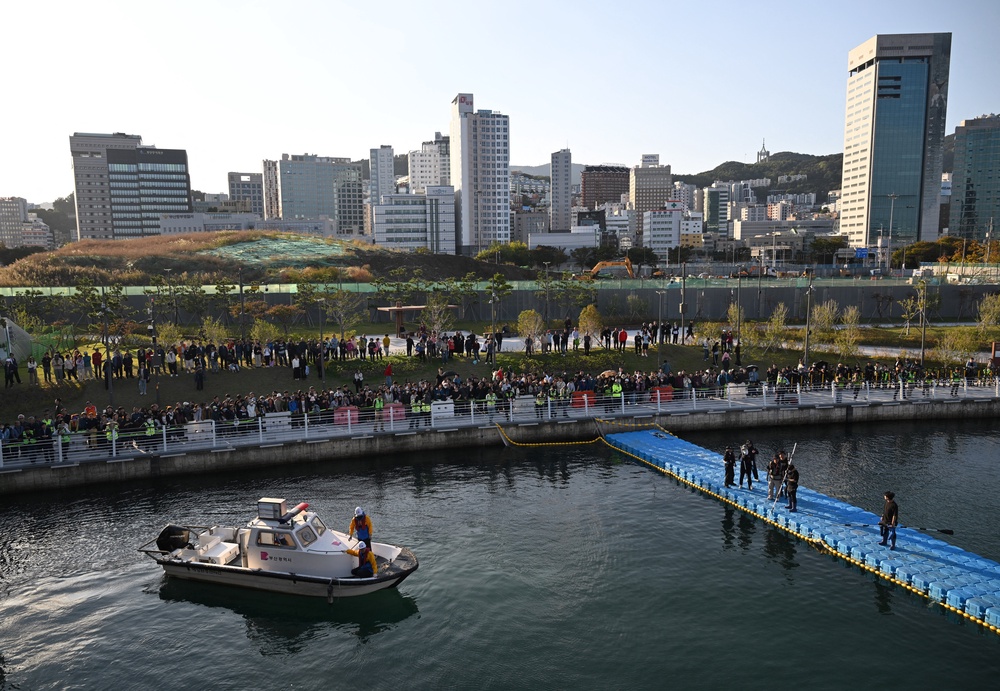 South Korean officials take part in a rescue operation to guide a female shark back to the sea after it was trapped in an artificial waterway in the southeastern port city of Busan (AFP/Getty)