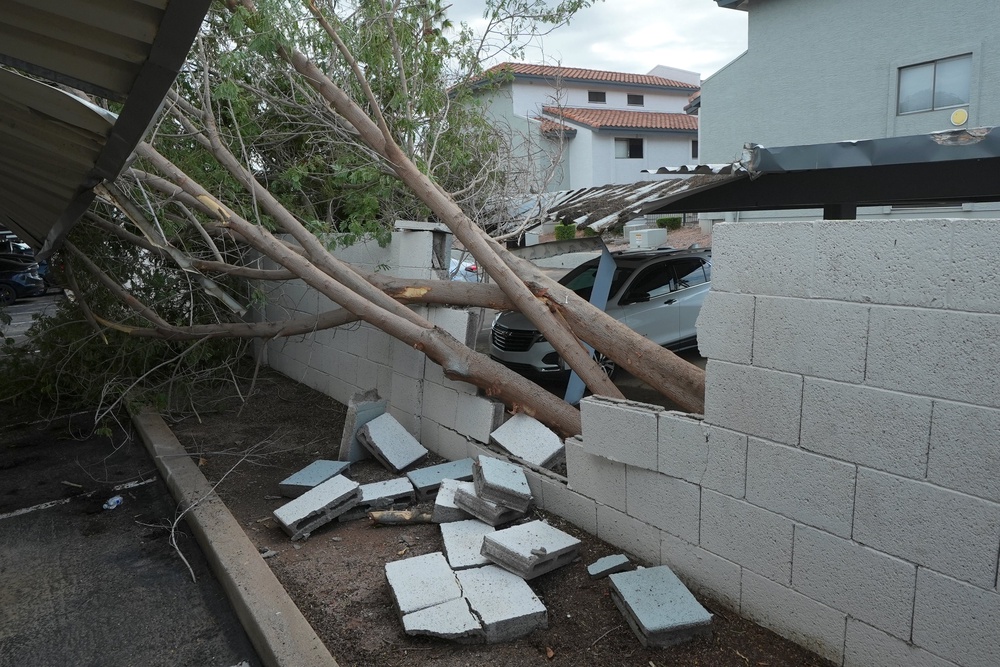 Uprooted trees cause damage at a local apartment complex after storms hit the area in Mesa, Arizona (AP)