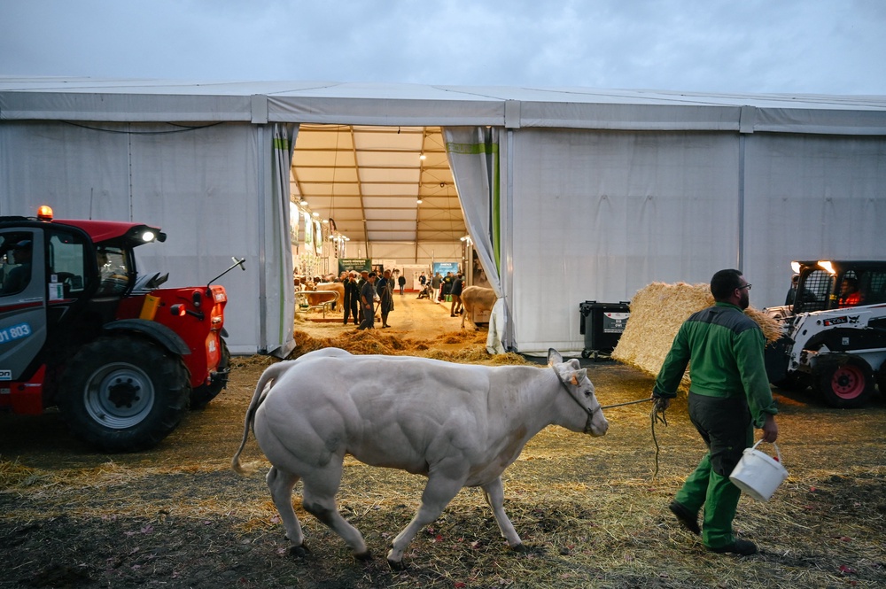 The disease appeared in Germany and France this year (file) (AFP/Getty)