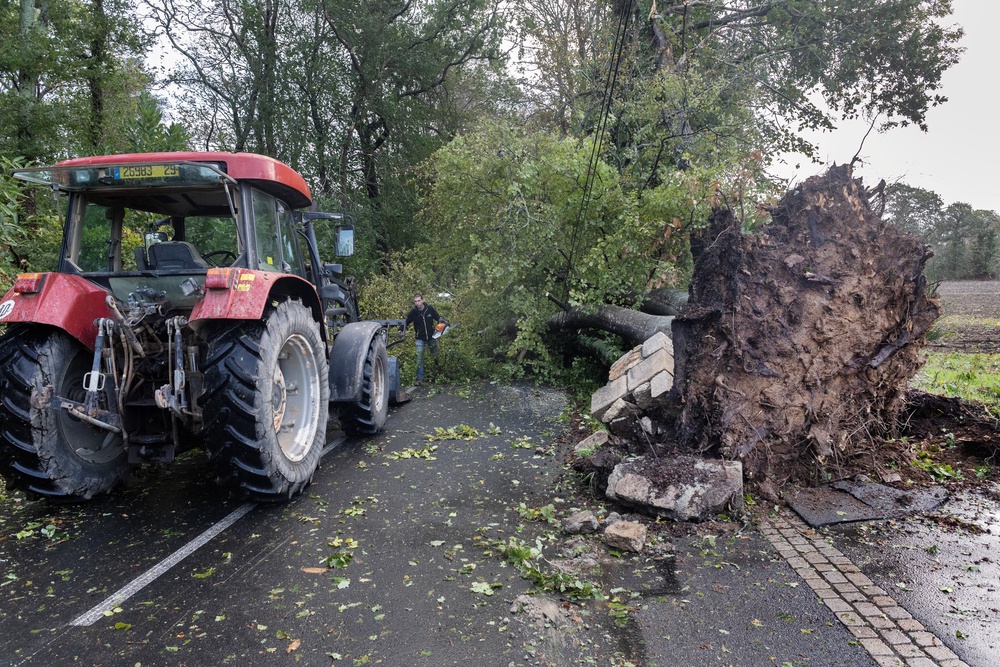 A man cuts branches from a fallen tree in Plomeur in western France, (AFP/Getty)