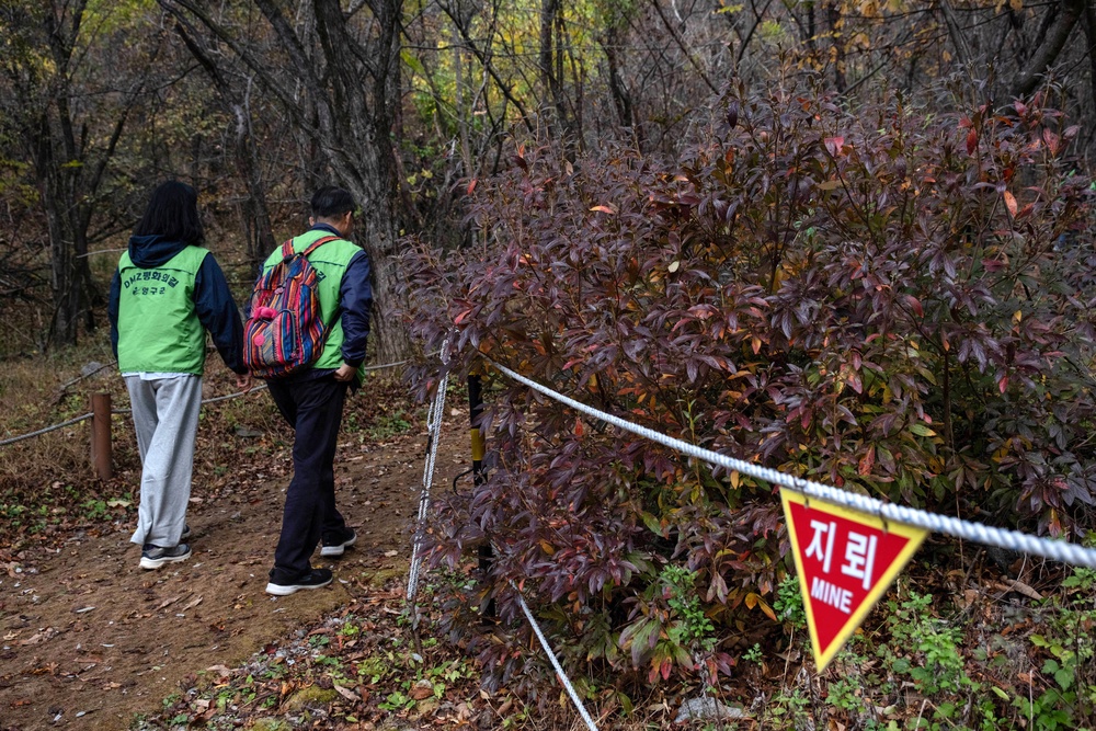 Civilian hikers walk along a minefield in a restricted area adjacent to the Demilitarized Zone between South Korea and North Korea (AFP/Getty)