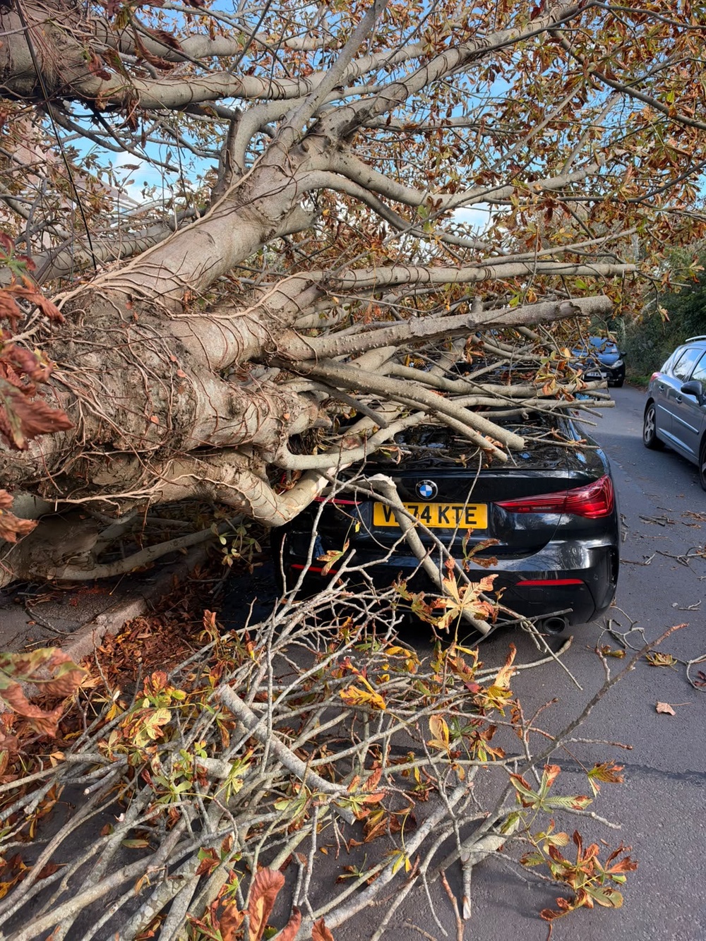 Image from: Storm Boelo latest: Hundreds of flights cancelled as 80mph winds batter UK and ‘danger to life’ warnings issued