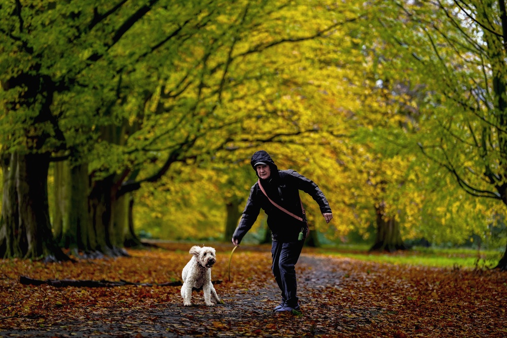 A man and his dog walk through Clarke’s Gardens in Liverpool, Merseyside, ahead of Storm Boelo (Peter Byrne/PA) (PA Wire)