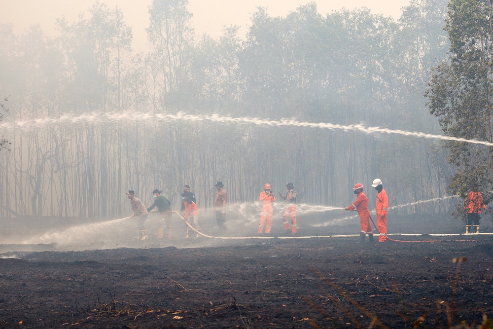 Firefighters from Indonesia's regional disaster management agency spray water to extinguish spreading wildfires amid dense smoke and haze in Barito Kuala, South Kalimantan province (AFP/Getty)