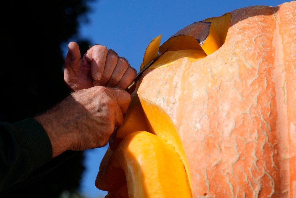 Valladao carves into a giant pumpkin (AP)