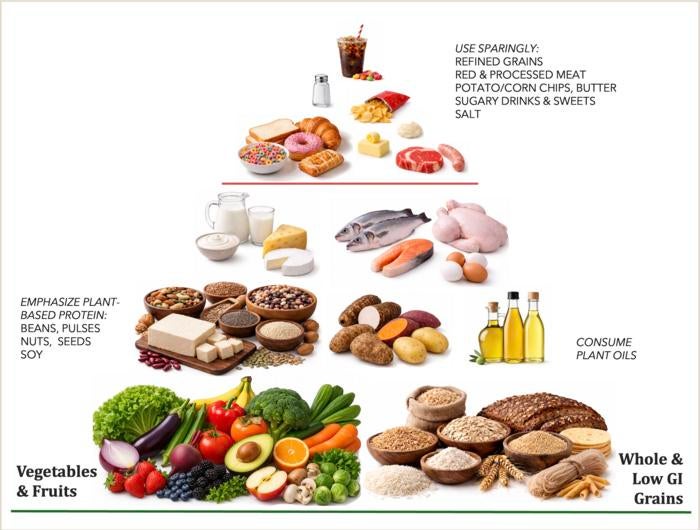 The new international pyramid places vegetables, fruits and whole, low-glycemic-index grains at its base. The pyramid also emphasizes plant-based protein and oils and recommends limiting refined grains, processed meats and sugary drinks (Karen Della Corte)