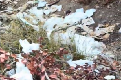 Residents also say that they have found used toilet paper in the Lake Hollywood Park and that the area has been turned into a 'public toilet' (Los Angeles County Superior Court/Central District)