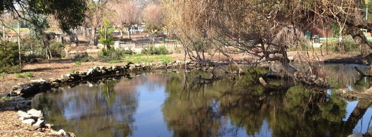 Oakland police are investigating reports of dogs attacking people and pets at local parks, such as at the pictured Lakeside Park, but declined to comment further (City of Oakland)