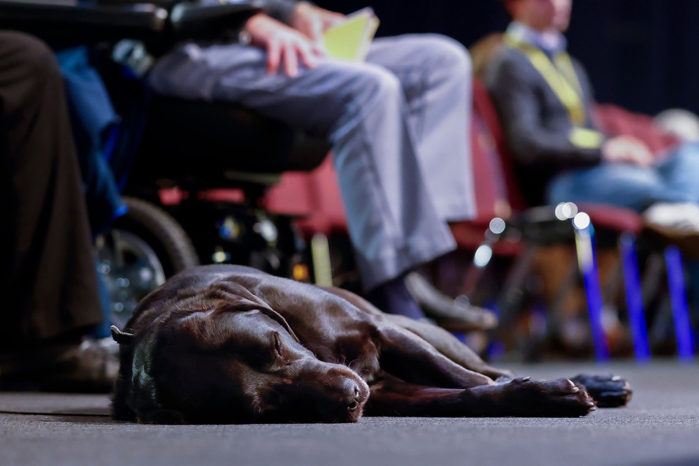 Going to an expert can determine if a dog’s depression might be the sign of something medically wrong (Getty Images)