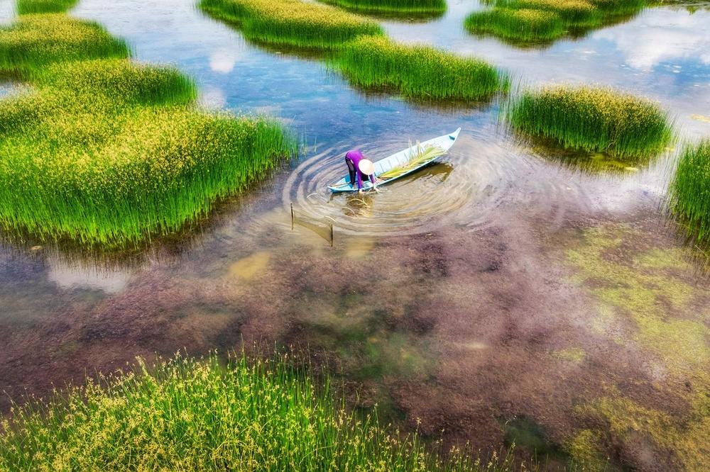 The Mekong is a transboundary river in East Asia and Southeast Asia (Getty Images/iStockphoto)