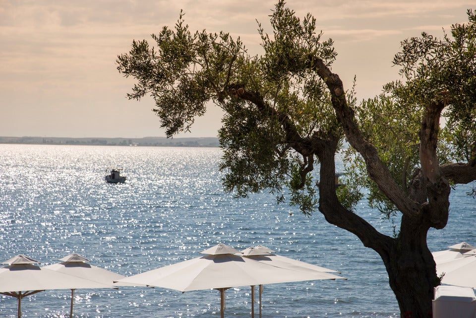 This family-friendly Halkidiki resort is re-evaluating the all-inclusive concept (Ikos Olivia)