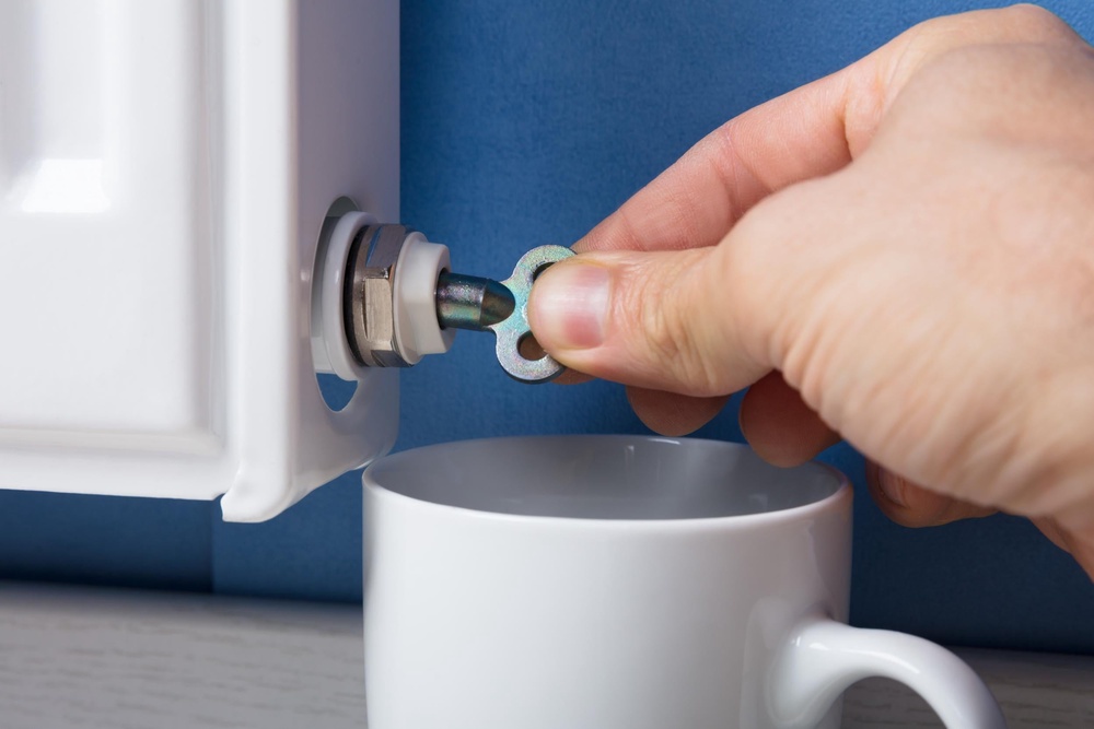 Use a radiator key and slowly open the vent at the side, says Bones (iStock)