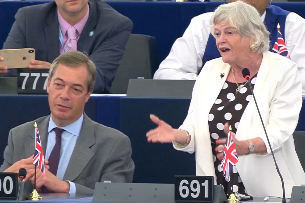 Ann Widdecombe and Nigel Farage at the European Parliament as part of the Brexit Party (PA)