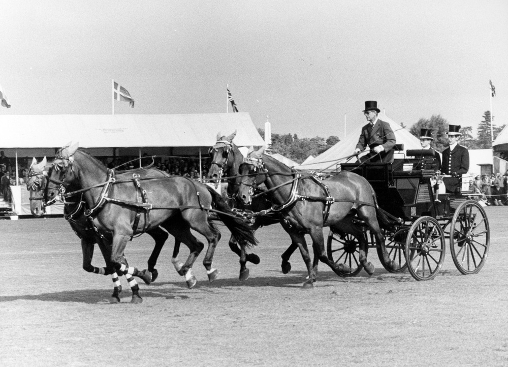 Prince Philip driving a team of horses owned by the Queen in the main ring at Windsor Great Park during the 1980 World Carriage Driving Championships (PA)