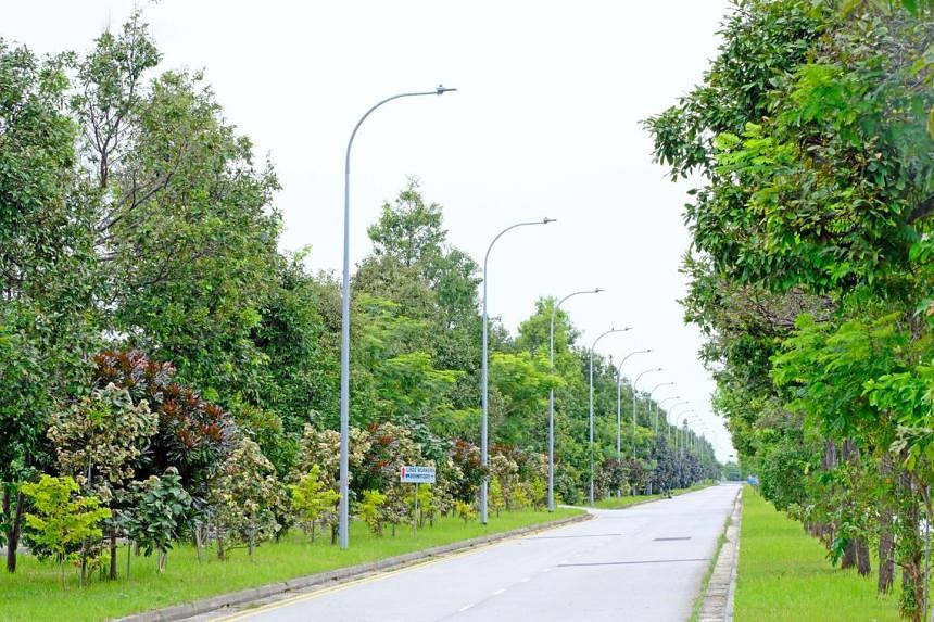 34,000 trees planted in Jurong Island, increasing the number by four ...