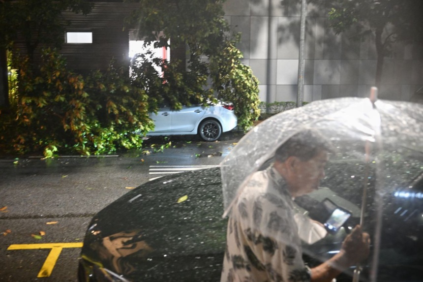 strong-winds-heavy-rain-batter-singapore-uprooting-trees-and-slowing