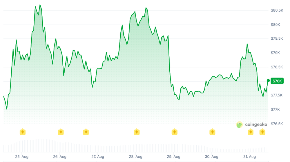 A Hollow Recovery?