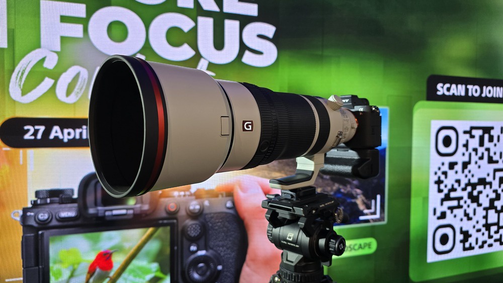 Image from: Sony Expands Imaging Ecosystem with New Alpha 7R VI, FE 100-400mm G Master Lens and “Nature in Focus” Contest in Malaysia