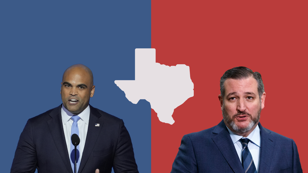 Senate Election Live Results 2024 Texas