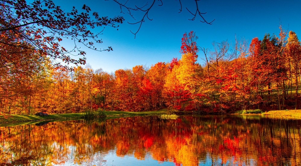 Leaf-peeping season is here: Here’s where you can still see spectacular ...