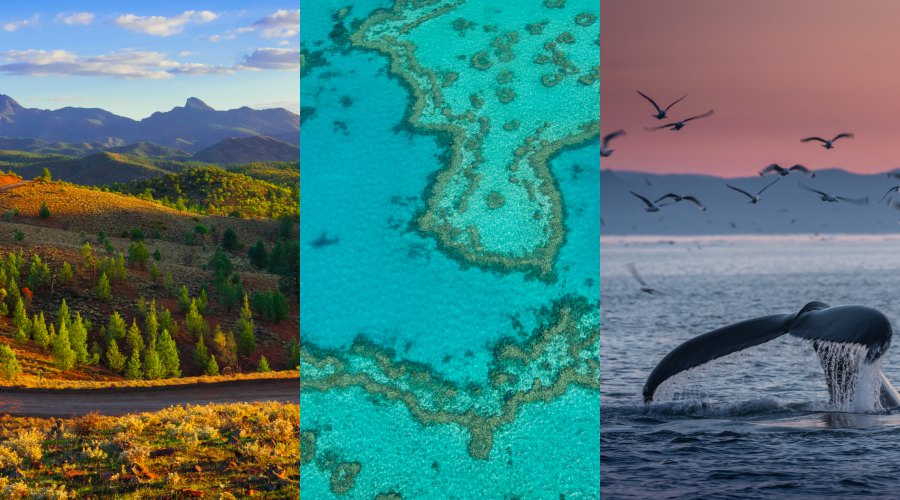 Image from: Cooler Destinations, Hotter Demand: Getaways to Escape the Heat  and How to Plan Them More Smartly