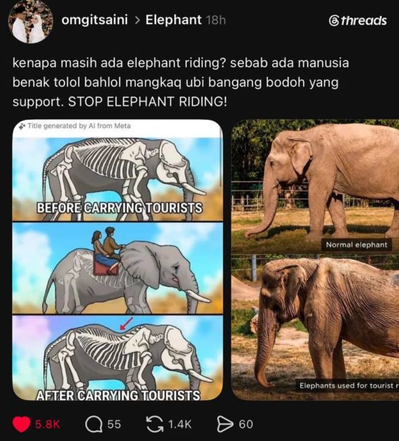 Image from: Why The Internet Is Cancelling Elephant Riding In Thailand & What To Go Instead