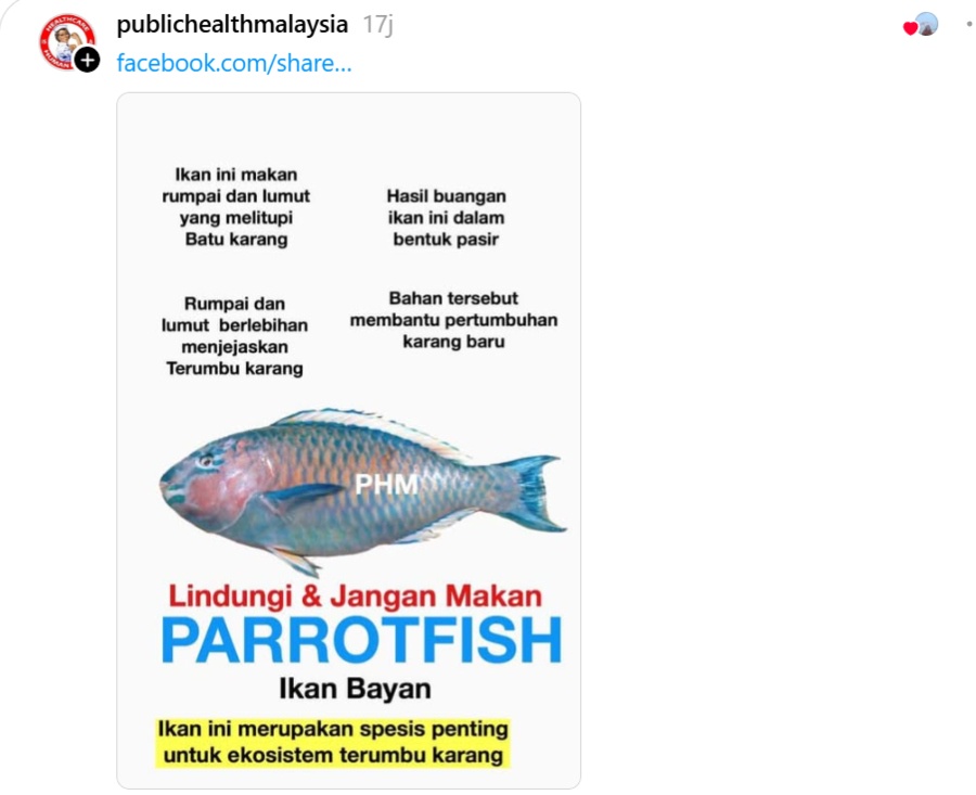 Image from: Parrotfish Post on Social Media Sparks Marine Conservation Conversation