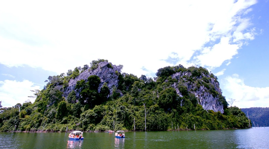 Image from: Malaysia’s Ultimate Rainforest Trail: 7 Ancient Forest Adventures for Your Next Escape