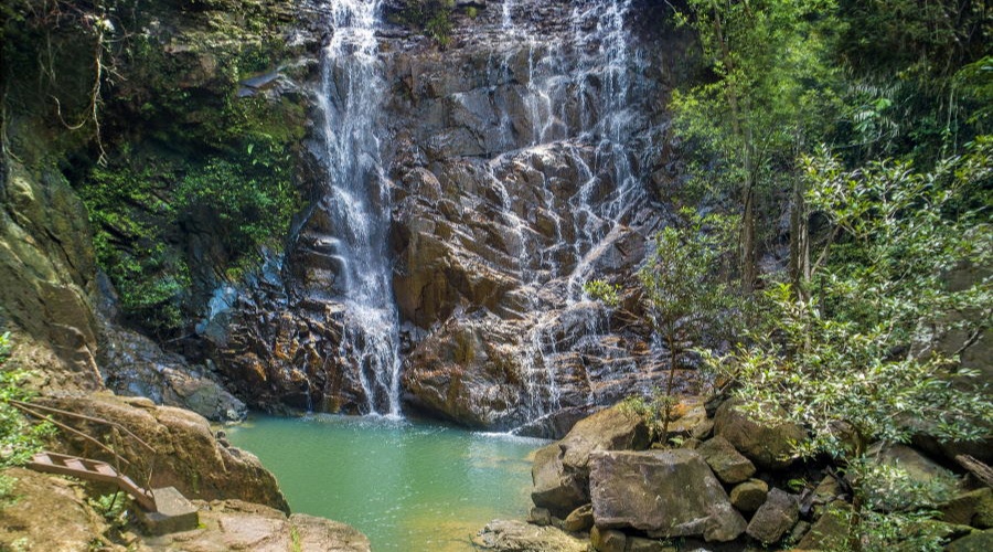 Image from: Malaysia’s Ultimate Rainforest Trail: 7 Ancient Forest Adventures for Your Next Escape