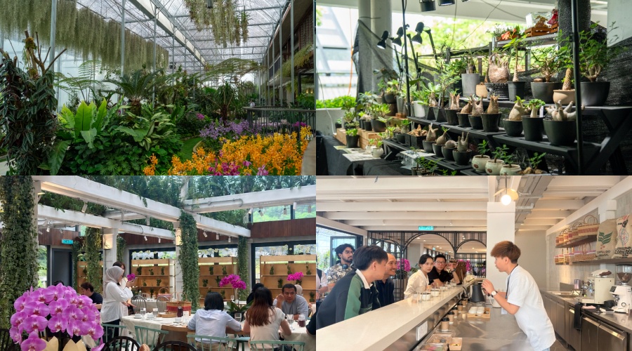 Image from: BUNGA 2026 Officially Blooms at Resorts World Awana with Asia’s Finest Orchid Showcase