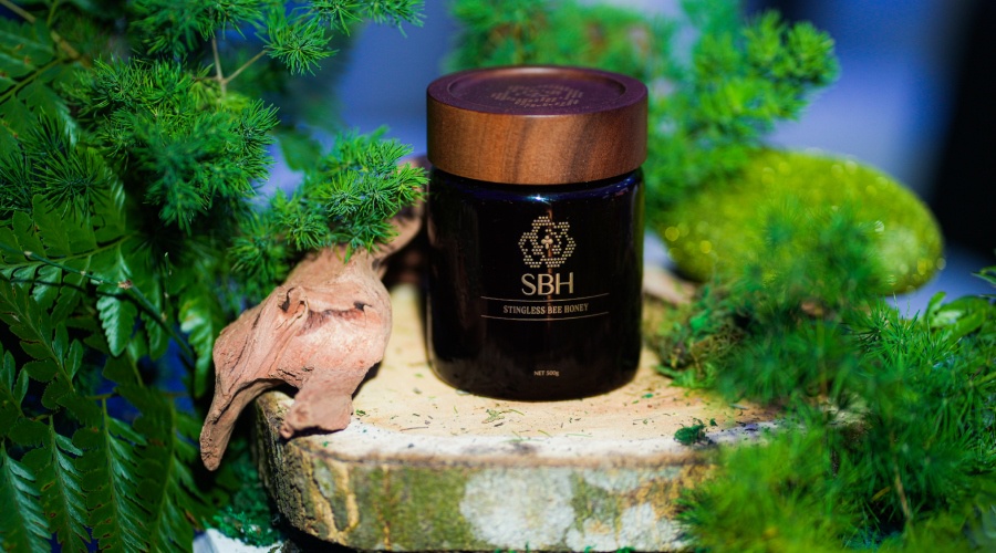 Image from: The Future of Honey 2026 – Premiere Launch of Certified Stingless Bee Honey Malaysia Marks a New Era for Stingless Bee Honey with the World’s First International Certification Framework