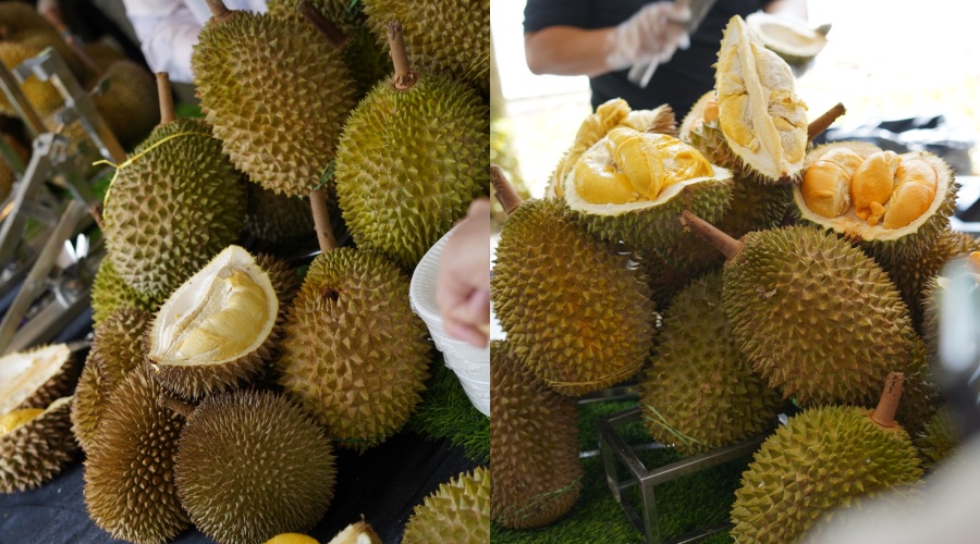Image from: Durian Hub – A Seasonal Return to Palm Garden Hotel, Putrajaya