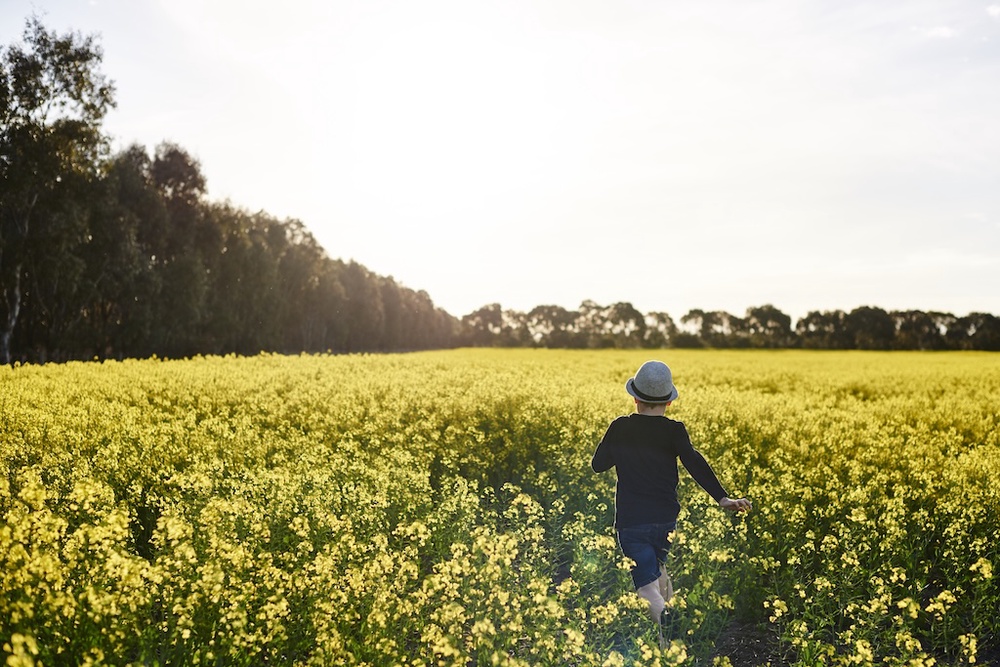 Image from: Melbourne Comes Alive This Spring With Flower Fields, Festivals And Scenic Escapes