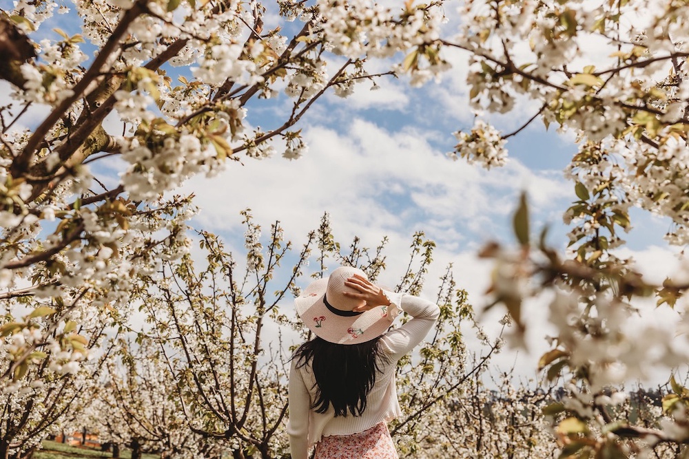Image from: Melbourne Comes Alive This Spring With Flower Fields, Festivals And Scenic Escapes
