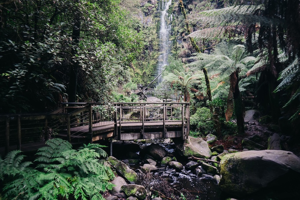 Image from: Melbourne Comes Alive This Spring With Flower Fields, Festivals And Scenic Escapes