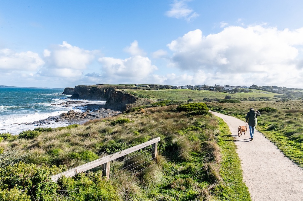 Image from: Melbourne Comes Alive This Spring With Flower Fields, Festivals And Scenic Escapes