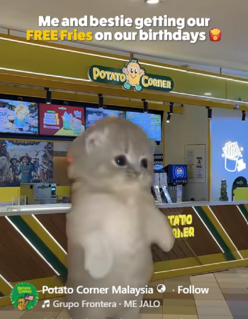 Image from: Born In October? Here Are The Birthday Deals & Perks You Can Enjoy