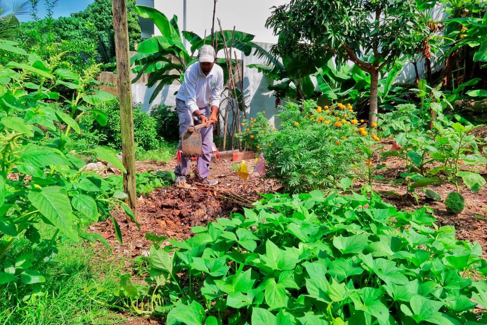 Proposal To Empower Smallholder Farmers