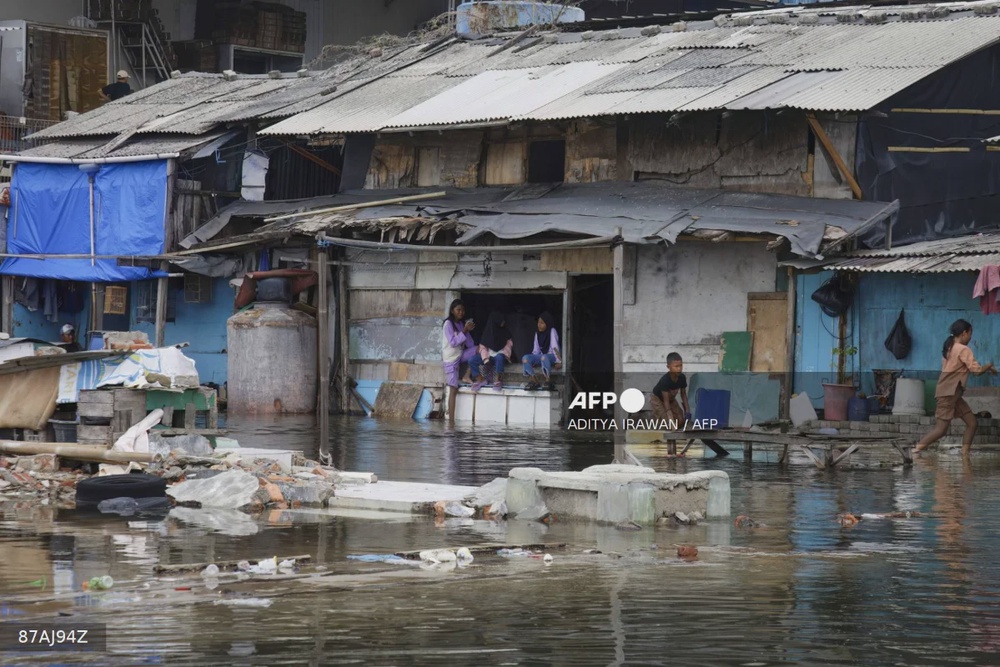 Tûche Telemaut Clip Holder 4 X 3.2 Cm Mounting System 2024 (2