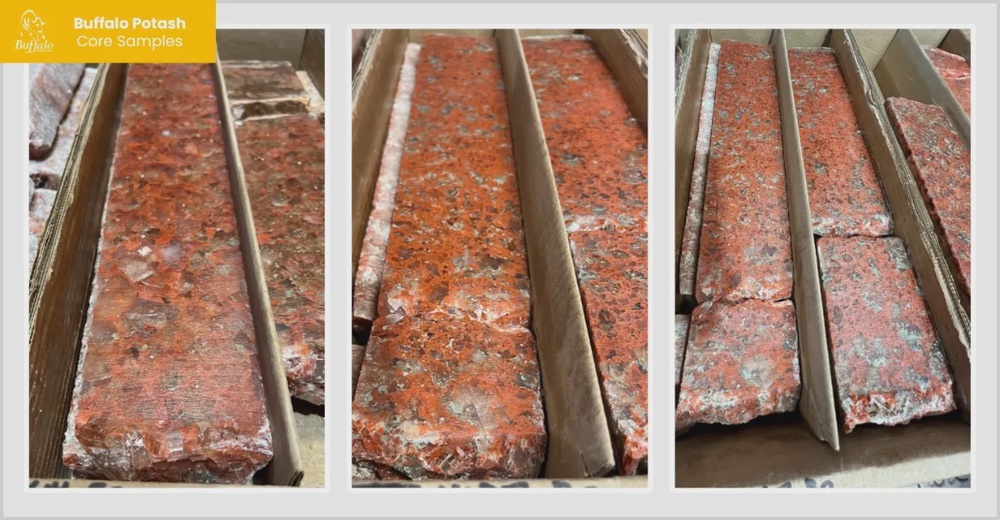 Buffalo Potash Announces Preliminary Economic Assessment for Disley Project with After-Tax NPV of US$1.1B and IRR of 30%; Releases Results from Maiden 43-101 Mineral Resource Estimate