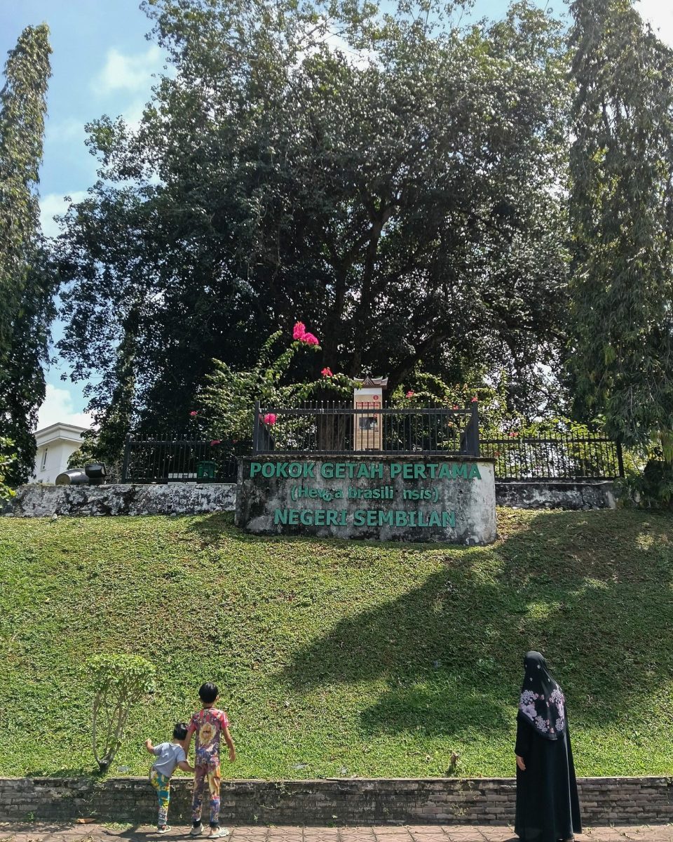 7 things you can do in Seremban in one day