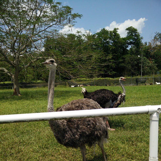 7 things you can do in Seremban in one day