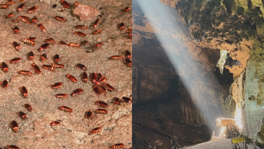 7 hidden nature escapes in Malaysia worth the journey